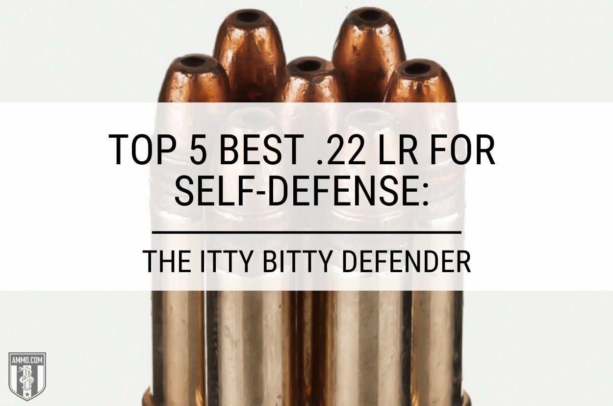 Best .22 LR for Self-Defense Recommended by Ammo.com