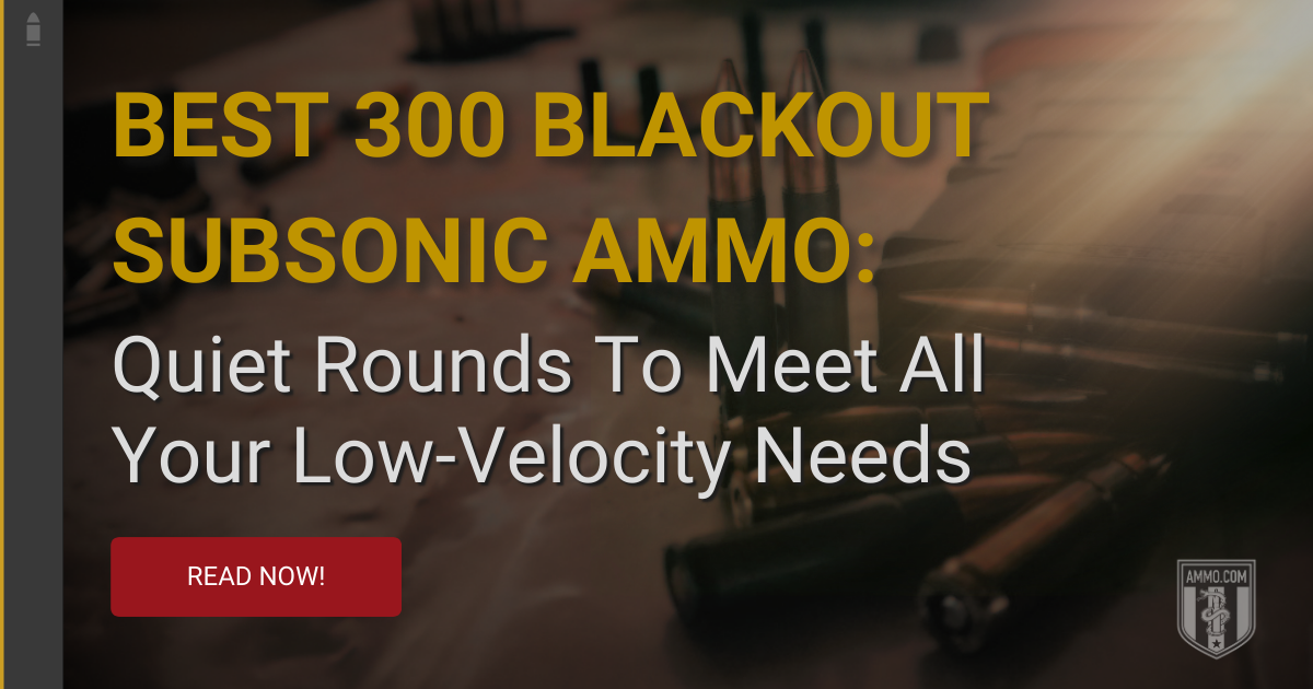 Best 300 Blackout Subsonic Ammo For Hunting Self Defense And Plinking Best 300 blackout subsonic ammo for hunting self defense and plinking