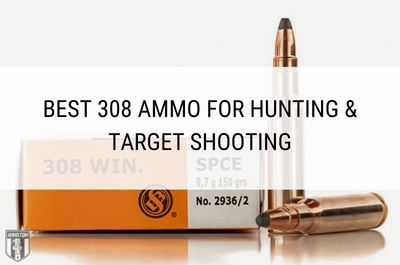 V. Best Ammo for Hunting Small Game