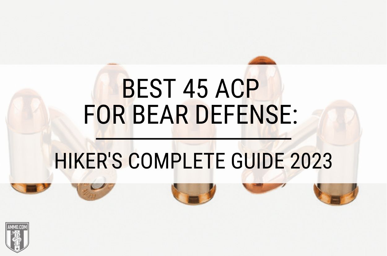 Best 45 ACP for Bear Defense: When You Have to Smoke Smokey