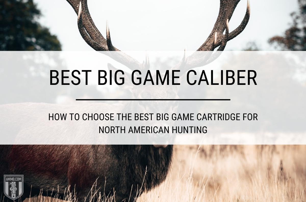 Hunting Big Game in North America