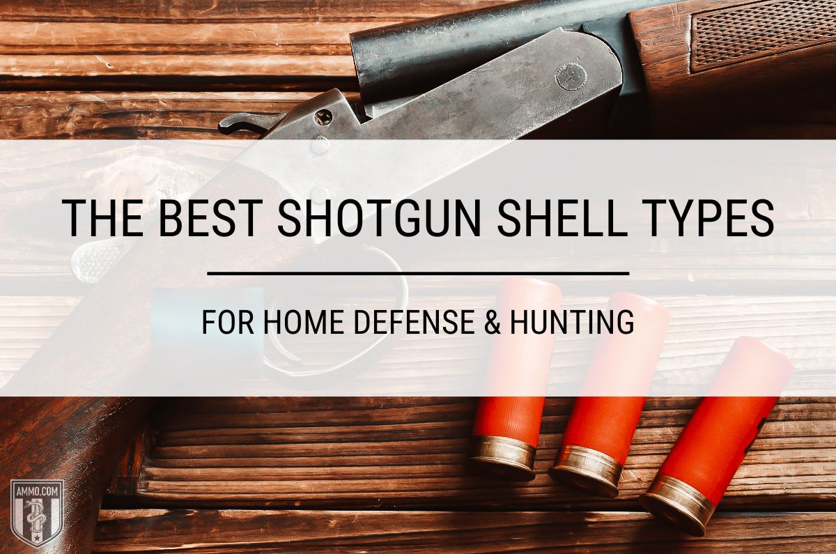 45 Shotgun Shell