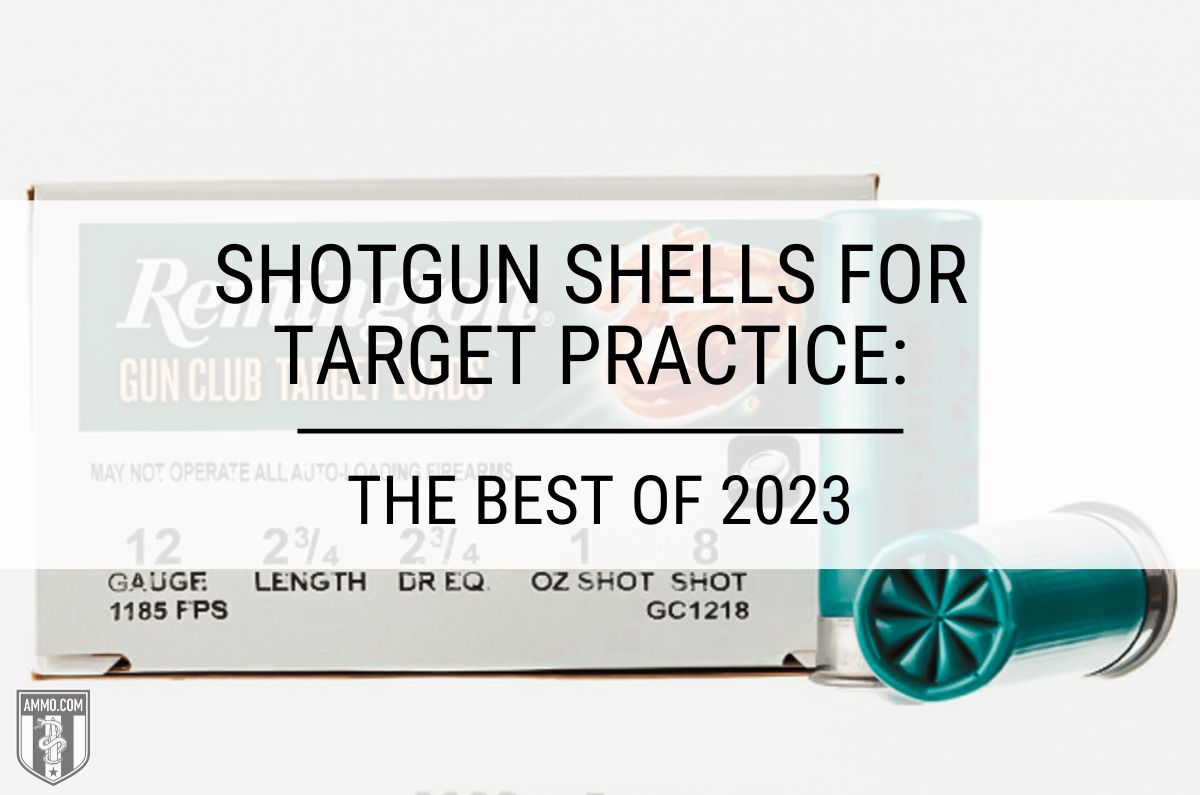 Shotgun Shells for Target Practice: The Best of 2024